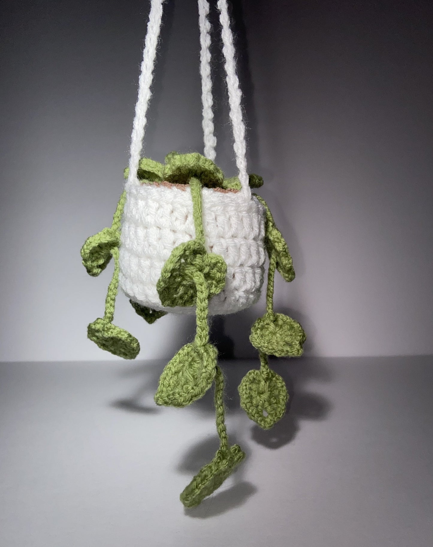 Crochet Hanging Plant Ornament