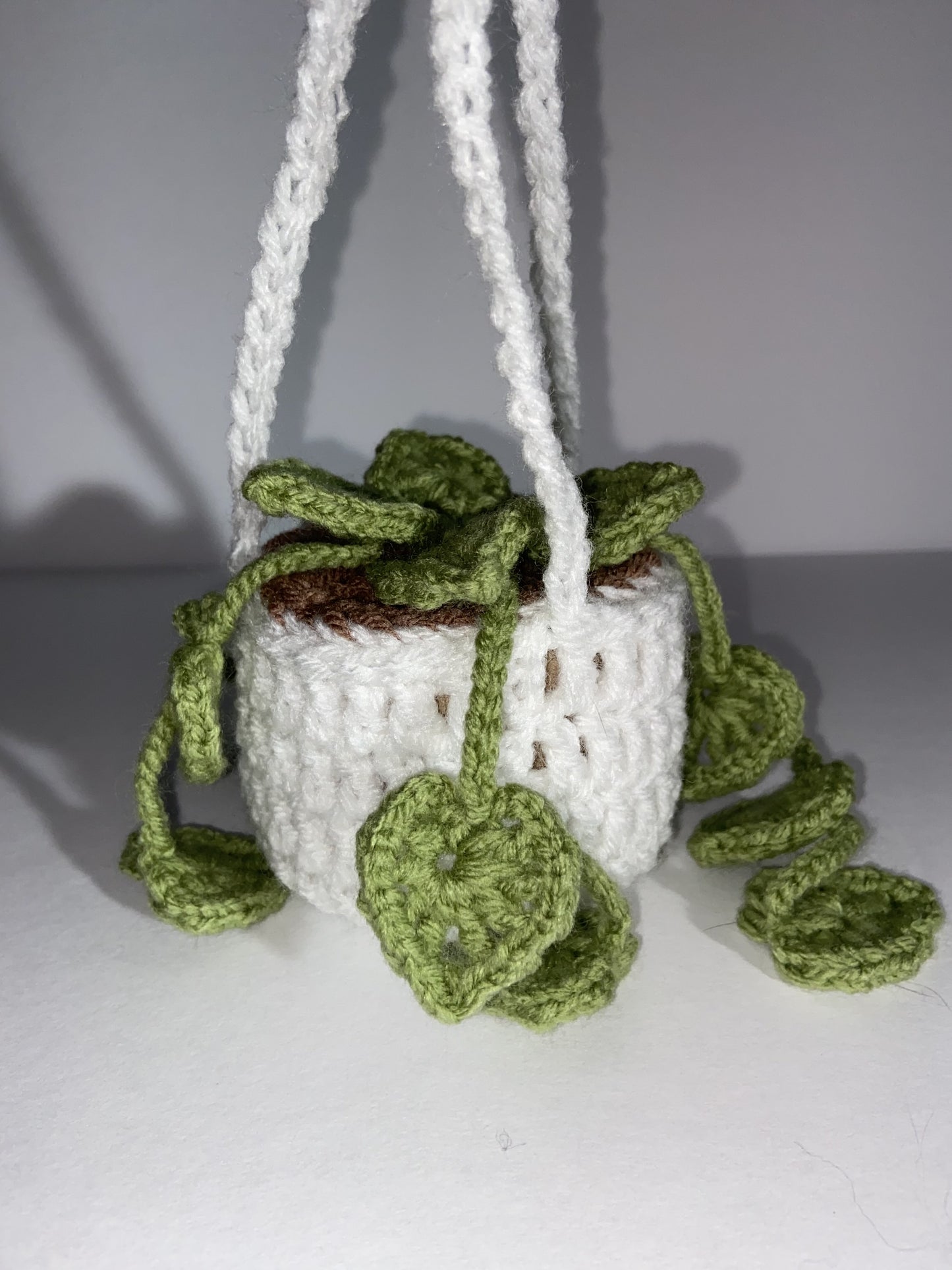 Crochet Hanging Plant Ornament